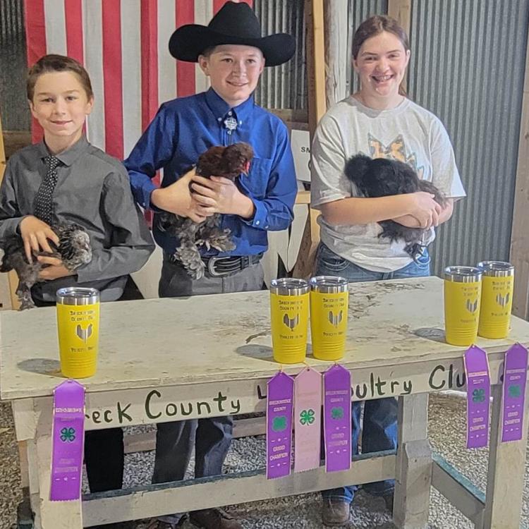 Poultry show winners